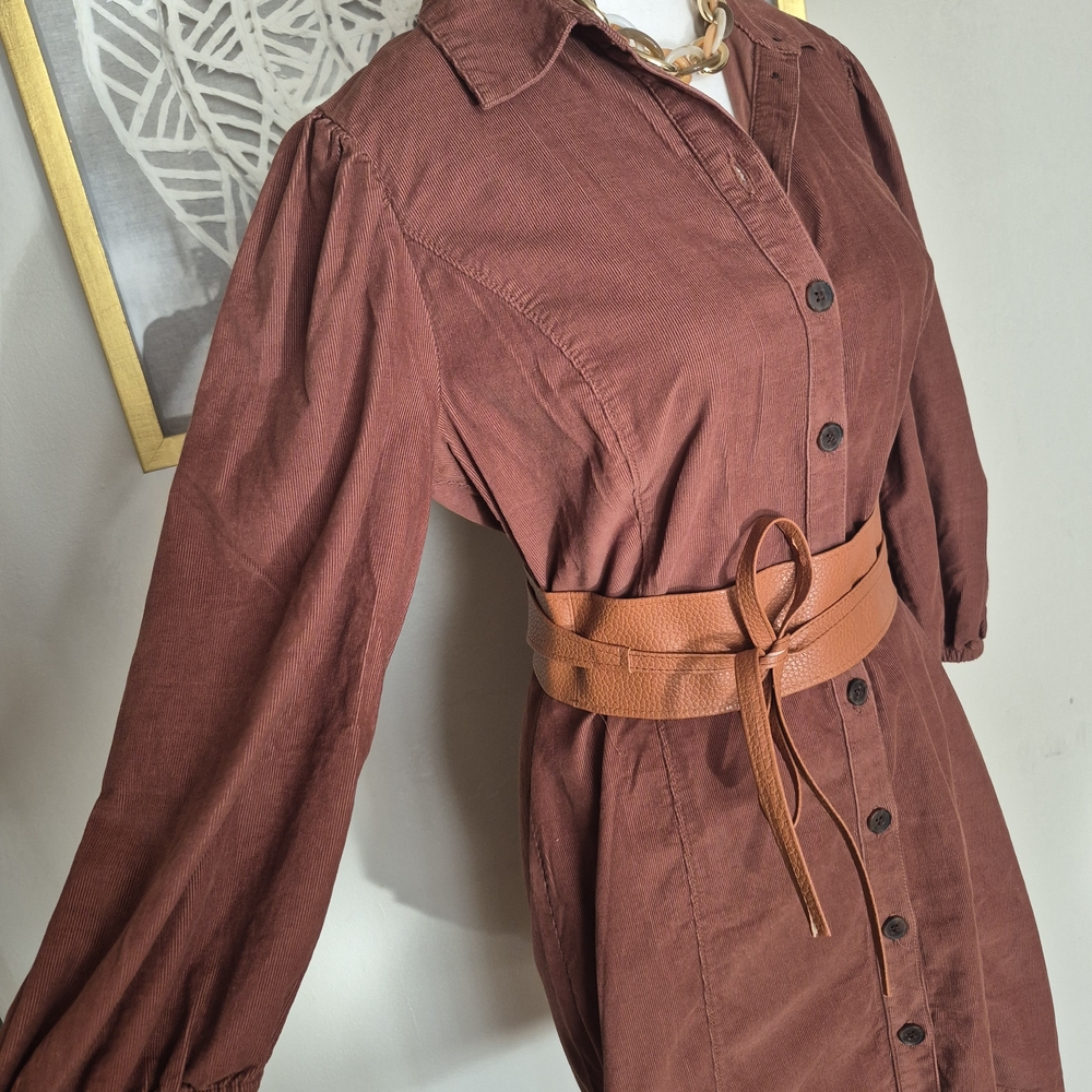 GAP Copper Button-Up Dress